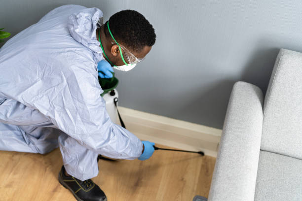 Emergency Pest Control Services in Muenster, TX